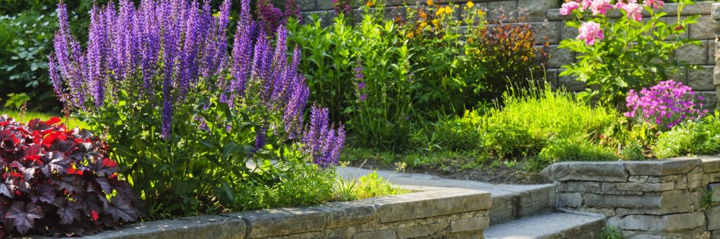 Landscaping and Hardscaping Services in Austin, TX