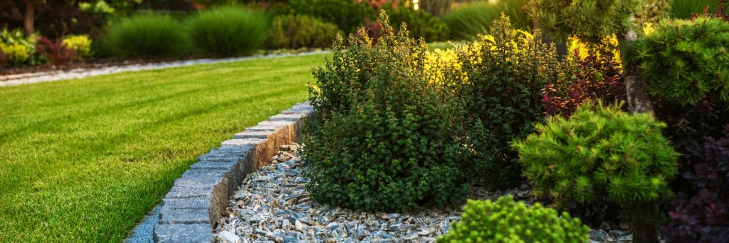Landscaping and Hardscaping Services in Austin, TX